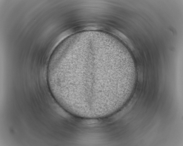 X0000113631186200910162009