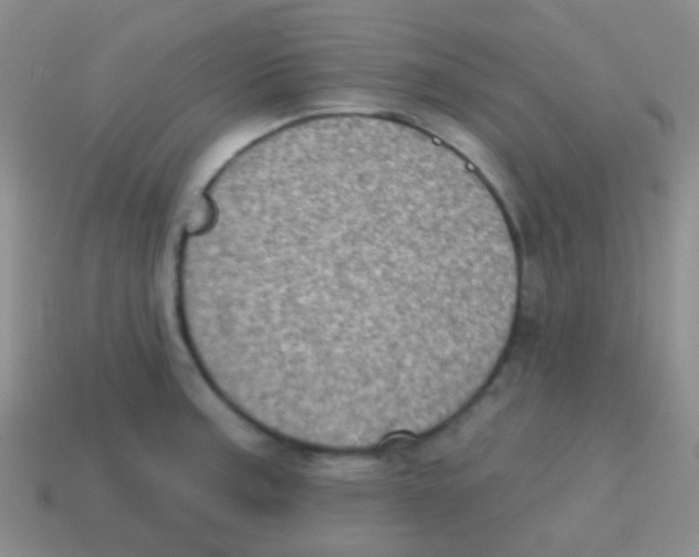 X0000113631187200910162009