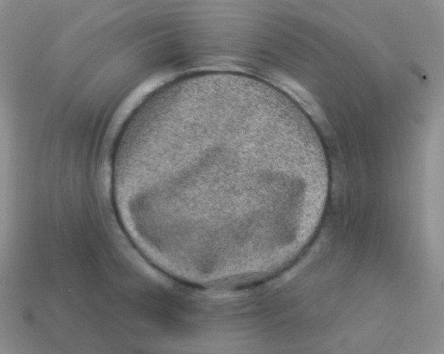 X0000113631188200910162009