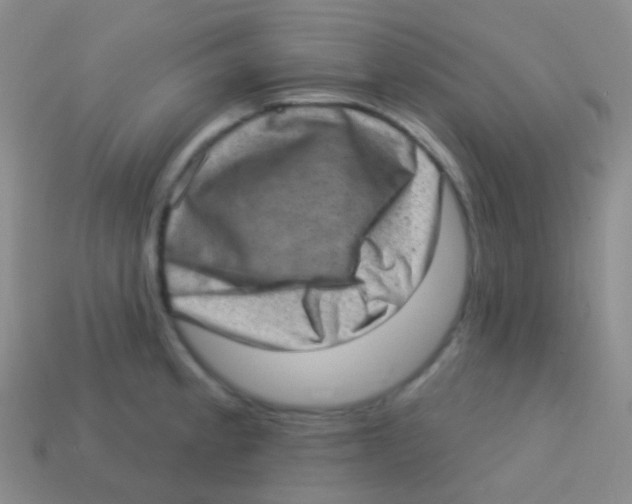 X0000113631189200910162009