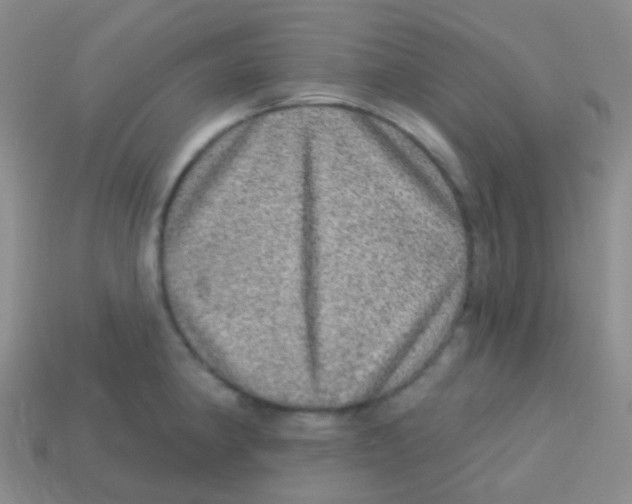 X0000113631190200910162009