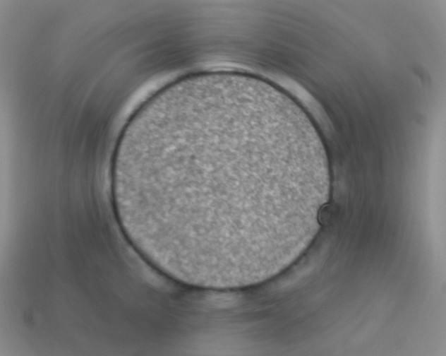 X0000113631191200910162009