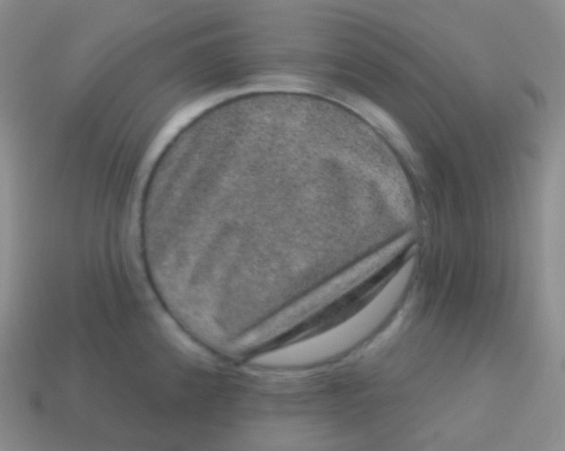 X0000113631192200910162009