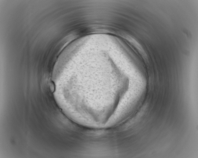 X0000113631193200910162009