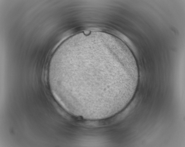 X0000113631194200910162009