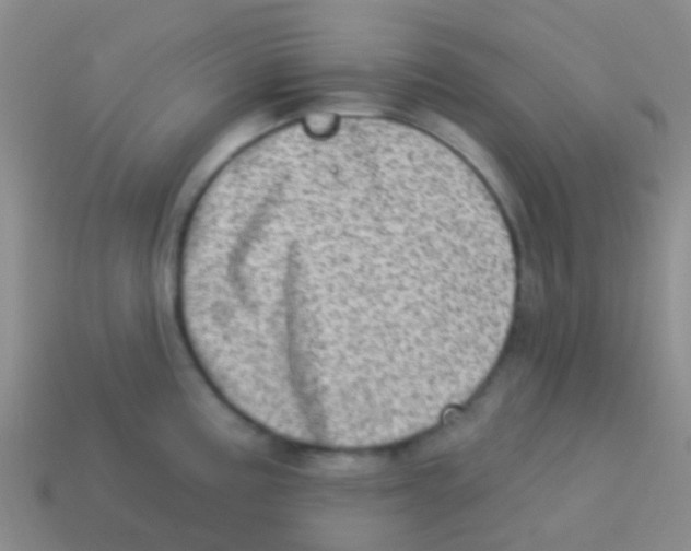 X0000113631195200910162009