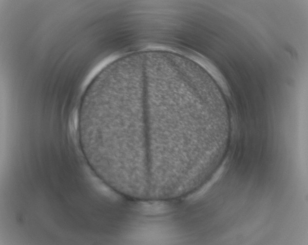 X0000113631198200910162008