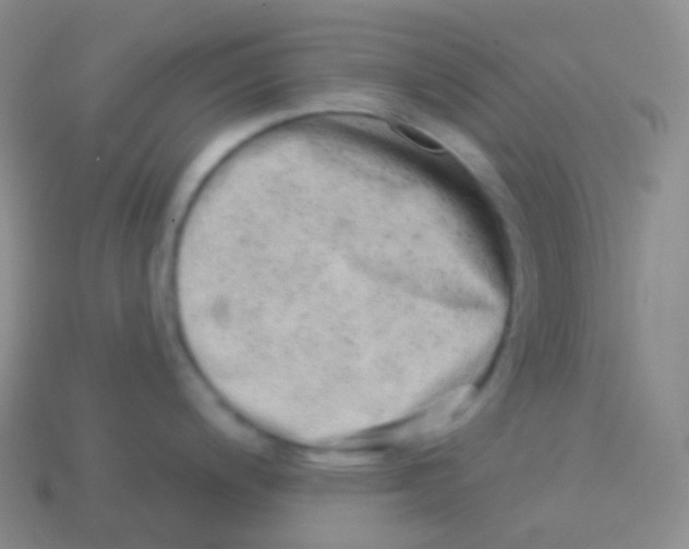 X0000113631200200910162008