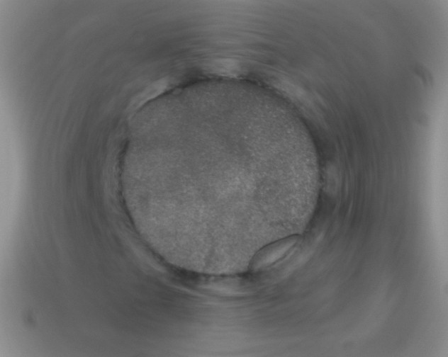 X0000113631201200910162008