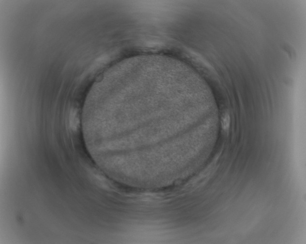 X0000113631204200910162008