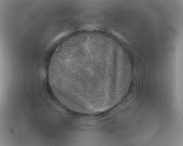 X0000113631206200910162008