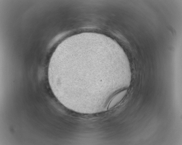 X0000113631208200910162008