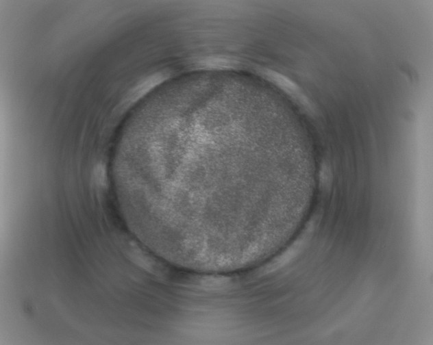 X0000113631209200910162008