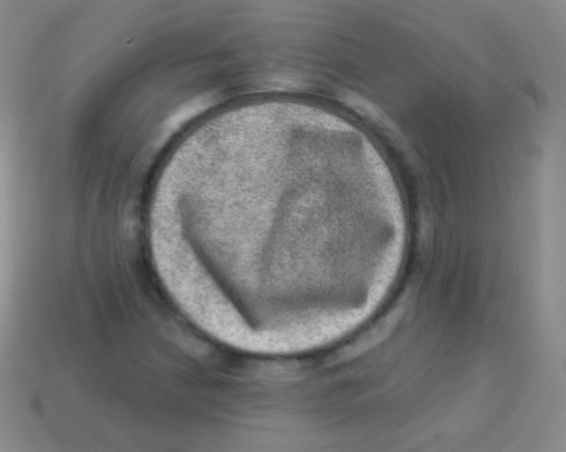 X0000113631210200910162008