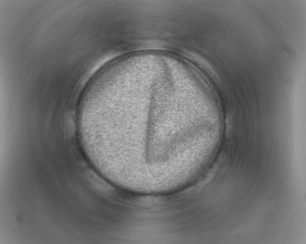 X0000113631212200910162008