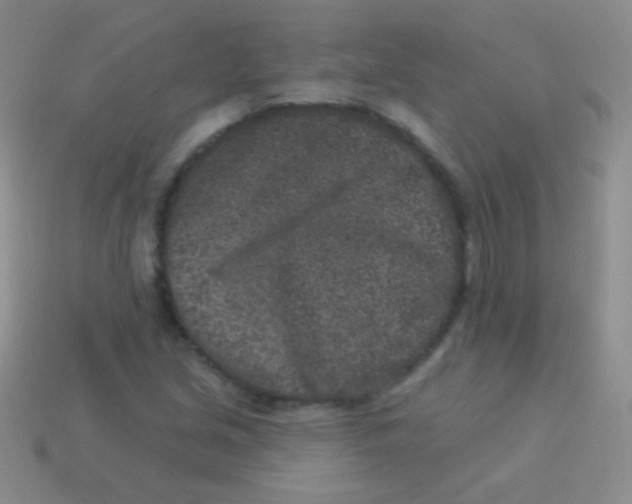 X0000113631213200910162008