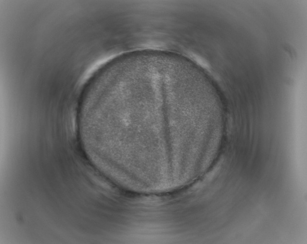 X0000113631214200910162008