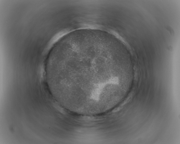 X0000113631215200910162008