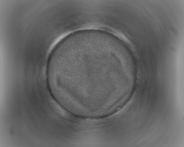 X0000113631216200910162008