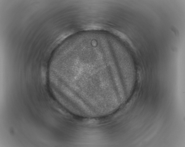 X0000113631217200910162008