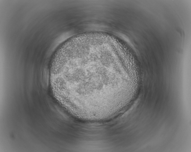 X0000113631219200910162008