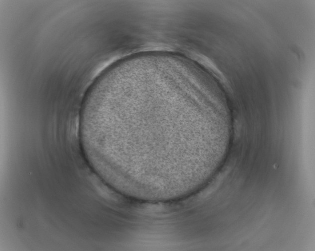 X0000113631220200910162008