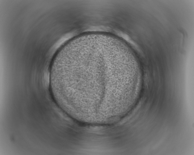 X0000113631221200910162008