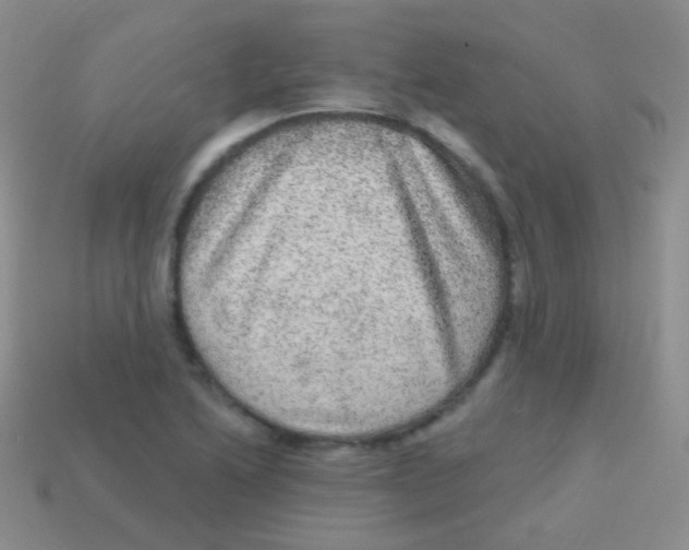 X0000113631222200910162008