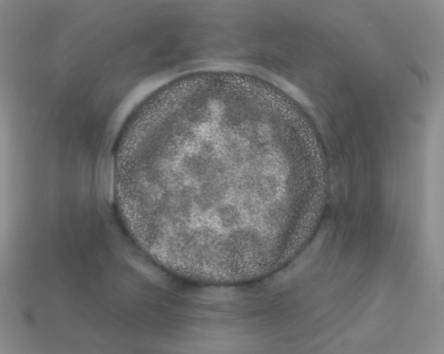 X0000113631223200910162008