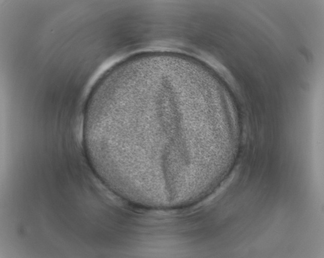 X0000113631224200910162008