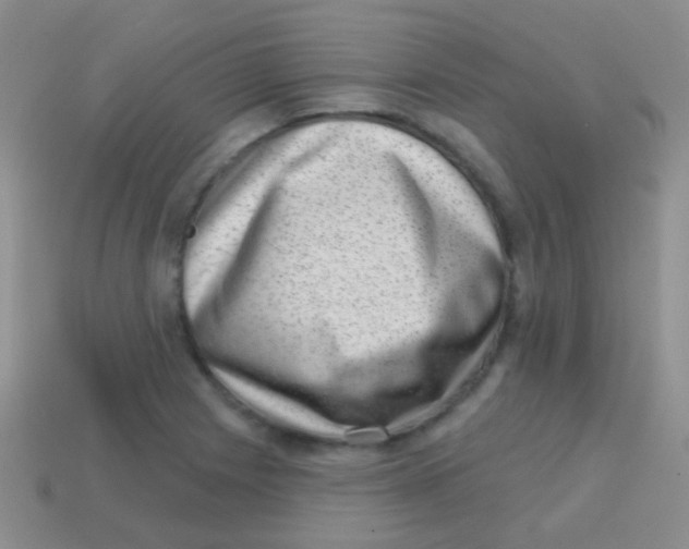 X0000113631225200910162008