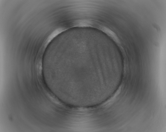 X0000113631226200910162008