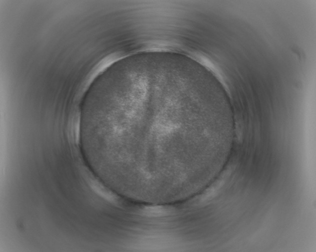 X0000113631227200910162008