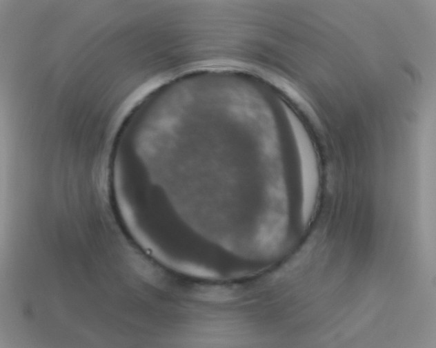 X0000113631229200910162008