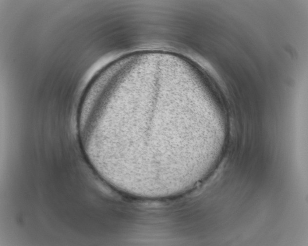 X0000113631230200910162008