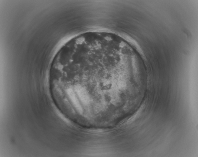 X0000113631231200910162008