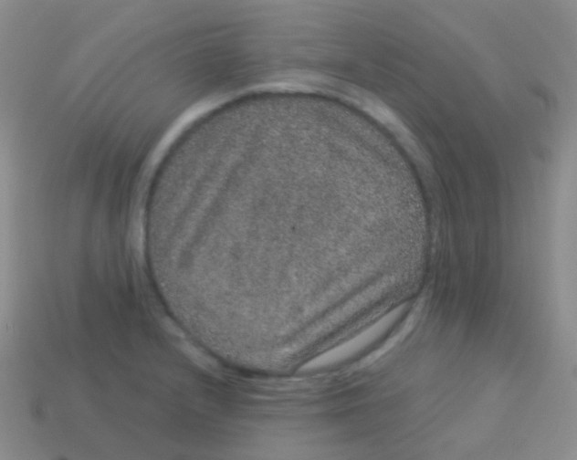 X0000113631232200910162008