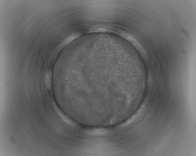 X0000113631233200910162008