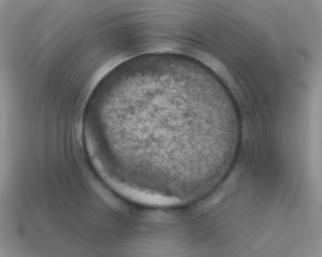 X0000113631234200910162008