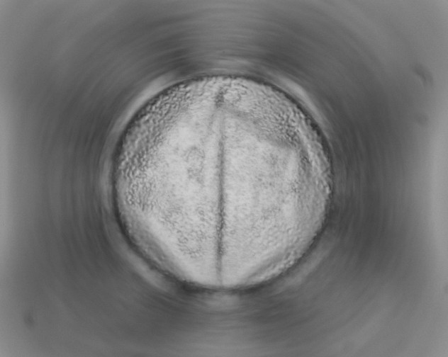 X0000113631235200910162008