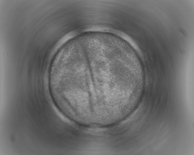 X0000113631237200910162008