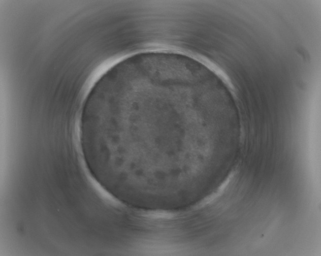 X0000113631239200910162008