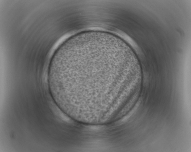 X0000113631240200910162008