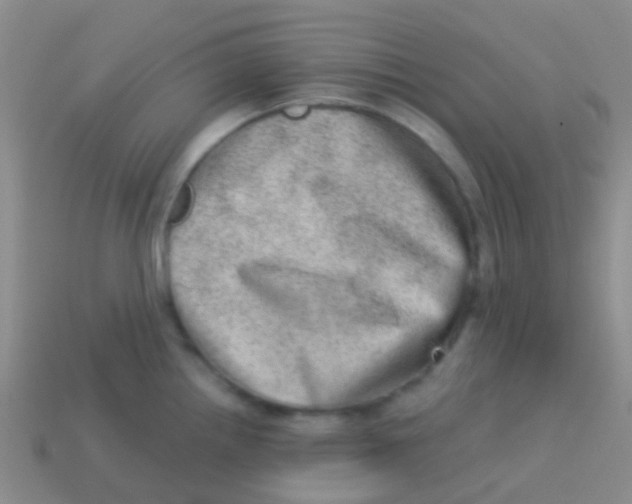 X0000113631242200910162008