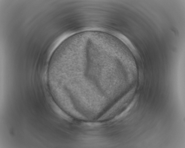 X0000113631244200910162008