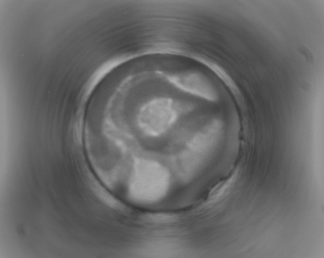 X0000113631246200910162008