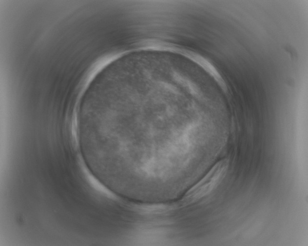 X0000113631247200910162008