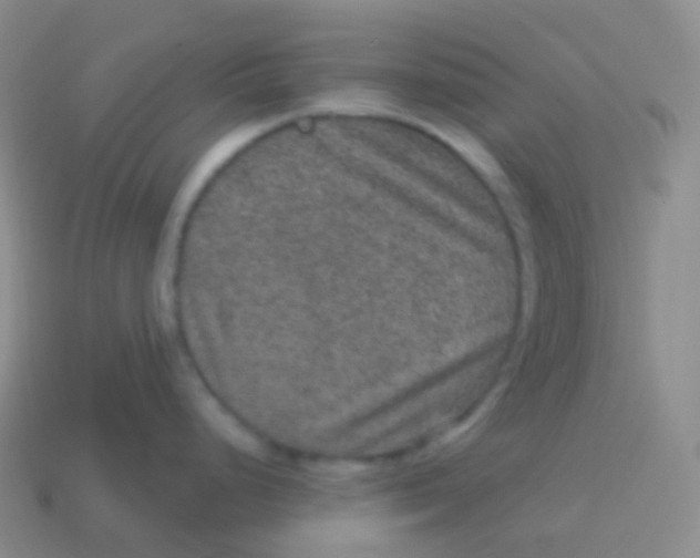 X0000113631248200910162008