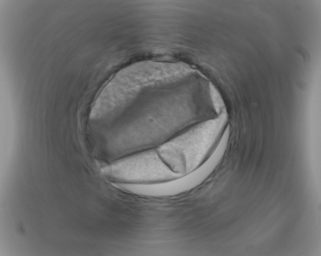 X0000113631249200910162008