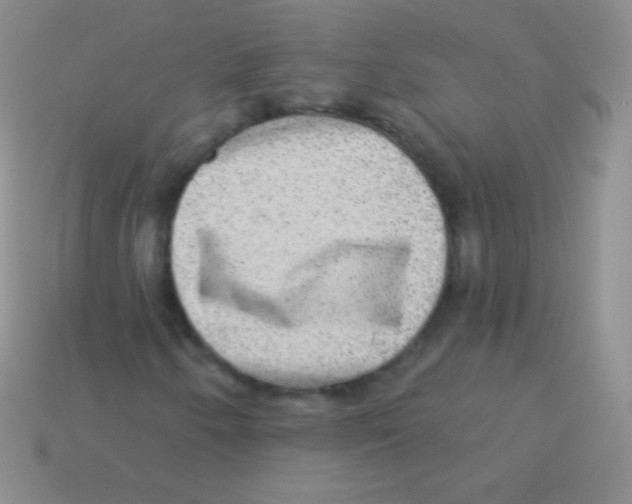 X0000113631250200910162008